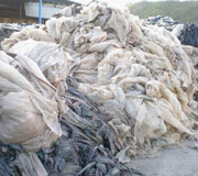 Plastic Film & Fiber Recycling